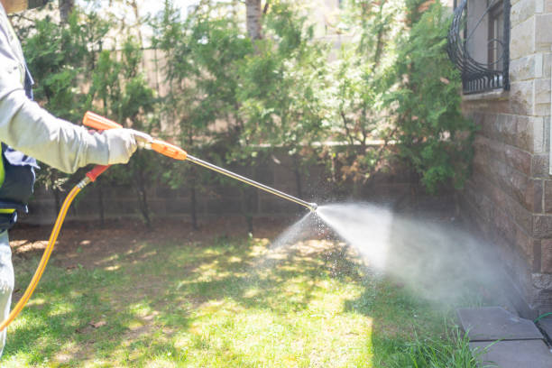 Best Pest Prevention Services  in Denmark, SC