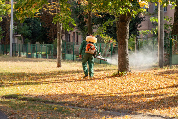 Best Wildlife Control Services  in Denmark, SC